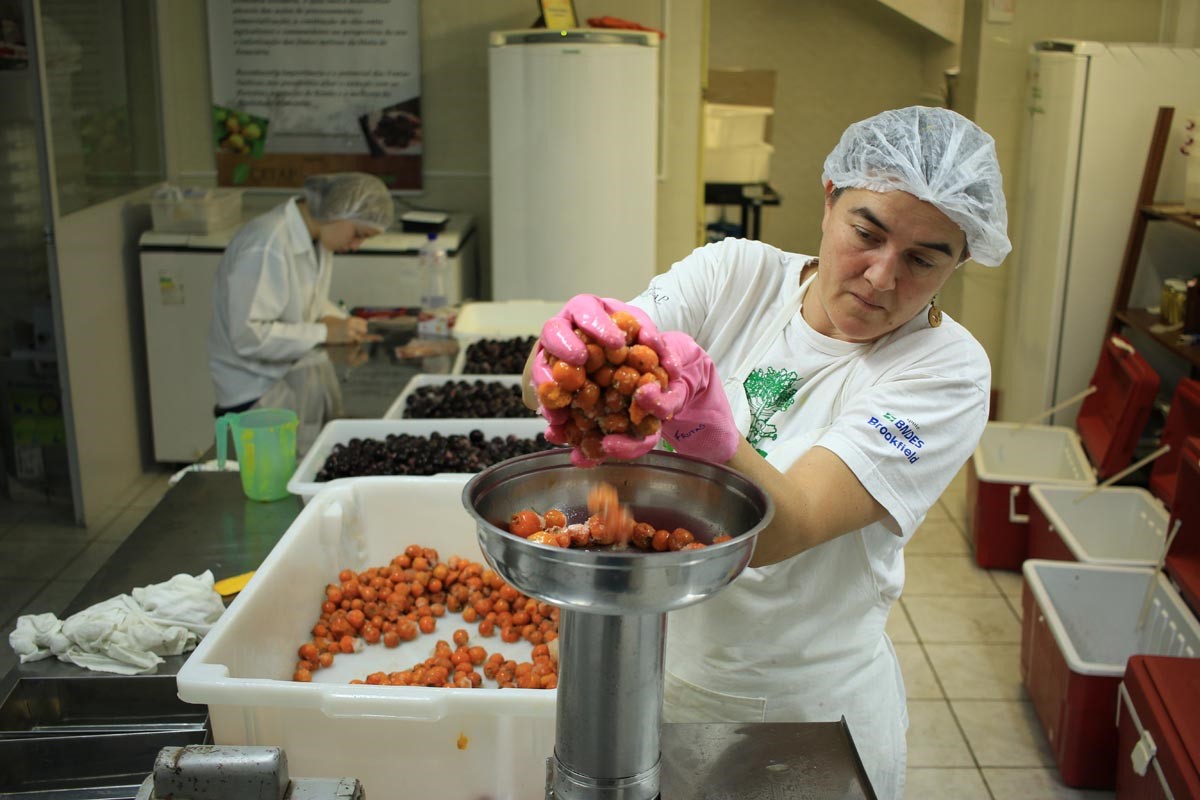 processamento de polpa na agroindustria encontro de sabores que sou socio.jpg